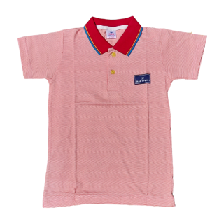 Boys_Striped_Cotton_Blend_Red_Small_Stripe_T_Shirt