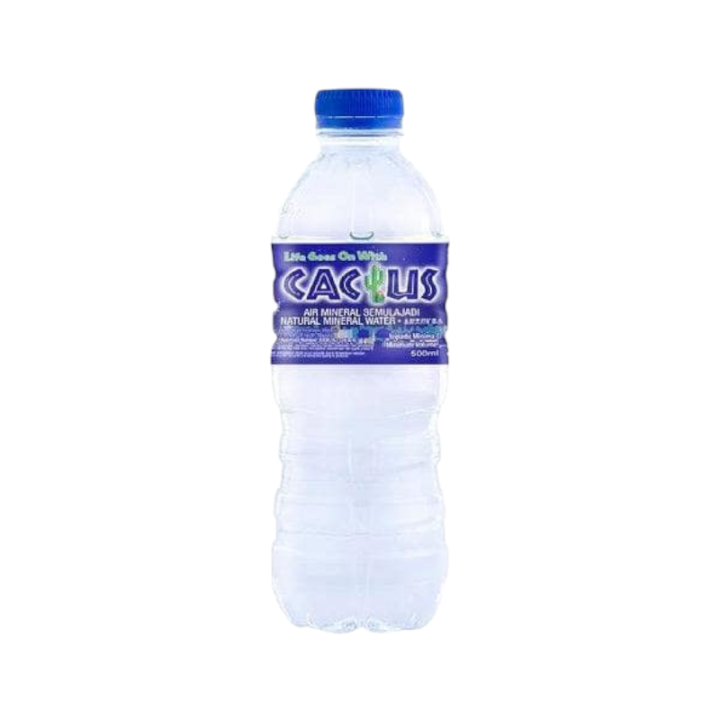 Cactus_500ml